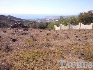 Ubebygd land til salgs i Sayalonga - € 40 000 (Ref: 3162993)