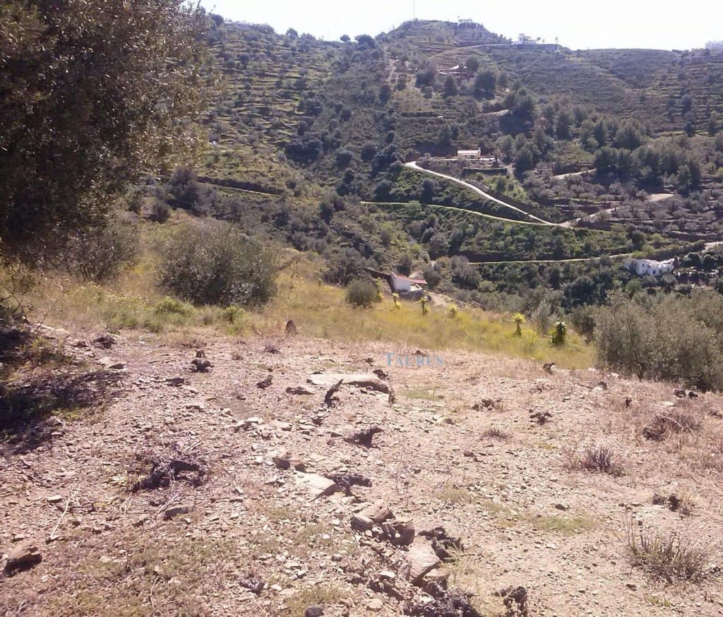 Ubebygd land til salgs i Sayalonga - € 40 000 (Ref: 3162993)