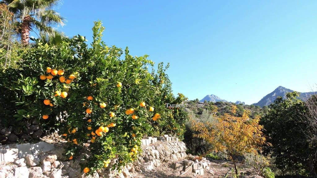 3 bedroom Villa for sale in Competa with pool garage - € 262,000 (Ref: 3163041)