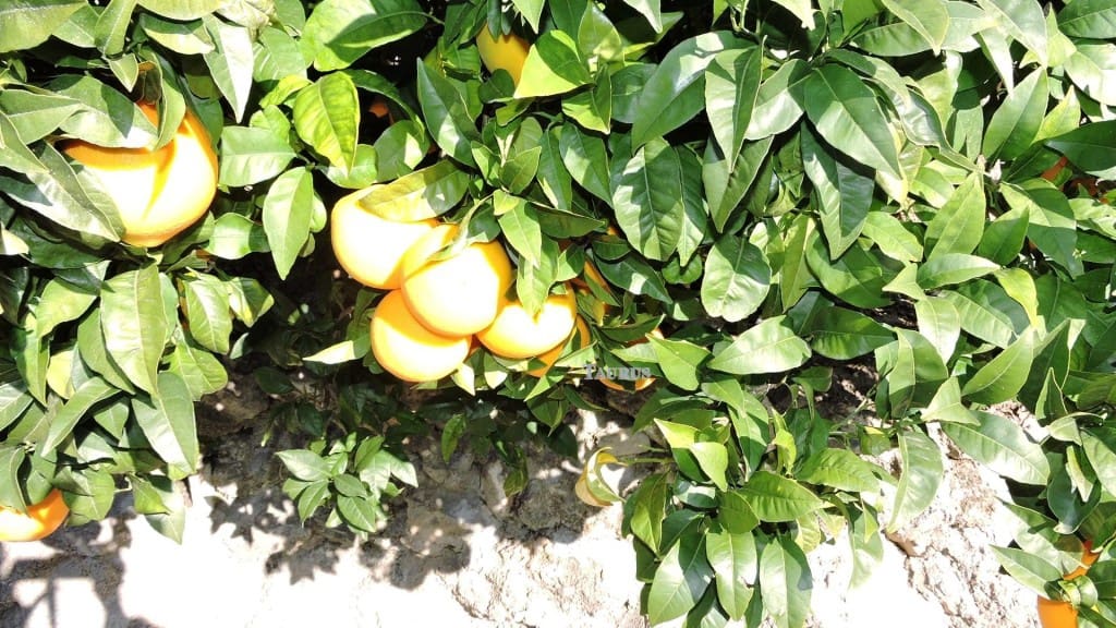 3 bedroom Villa for sale in Competa with pool garage - € 262,000 (Ref: 3163041)