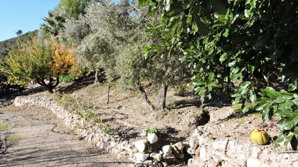 3 bedroom Villa for sale in Competa with pool garage - € 262,000 (Ref: 3163041)