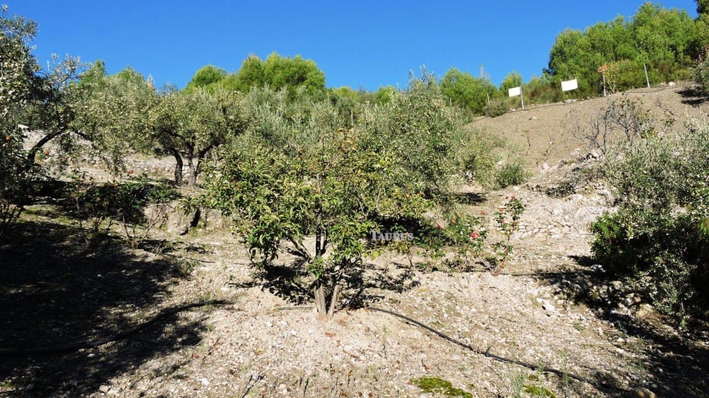 3 bedroom Villa for sale in Competa with pool garage - € 262,000 (Ref: 3163041)