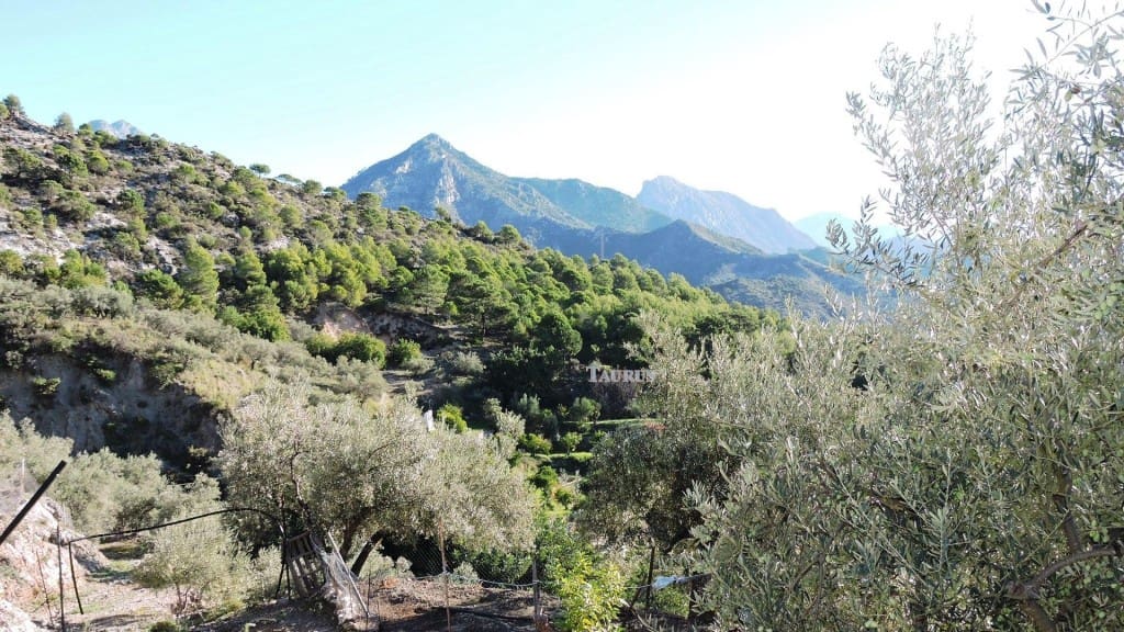 3 bedroom Villa for sale in Competa with pool garage - € 262,000 (Ref: 3163041)