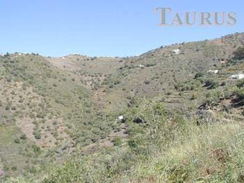 Ubebygd land til salgs i Sayalonga - € 25 000 (Ref: 3163079)