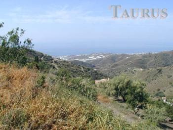 Ubebygd land til salgs i Sayalonga - € 25 000 (Ref: 3163079)