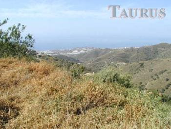 Mark till salu i Sayalonga - 25 000 € (Ref: 3163079)