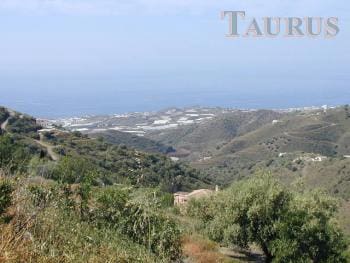 Terreno Não Urbanizado para venda em Sayalonga - 25 000 € (Ref: 3163079)