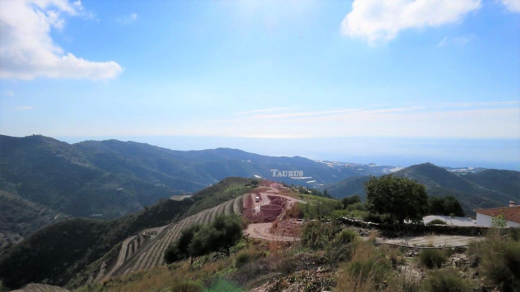 Grunde uden byggetilladelser til salg i Sayalonga - € 160.000 (Ref: 3163300)