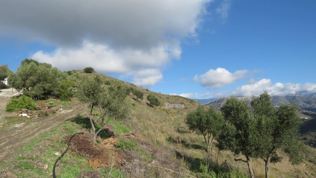 Grunde uden byggetilladelser til salg i Sayalonga - € 160.000 (Ref: 3163300)