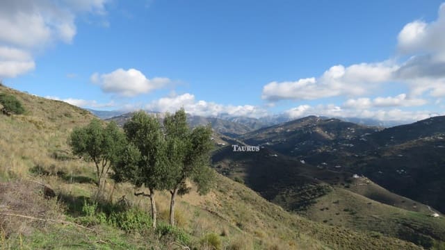 Undeveloped Land for sale in Sayalonga - € 160,000 (Ref: 3163300)