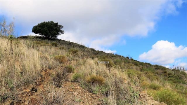 Undeveloped Land for sale in Sayalonga - € 160,000 (Ref: 3163300)