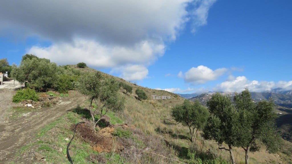 Terreno/Finca Rústica en Sayalonga en venta - 90.000 € (Ref: 3163300)