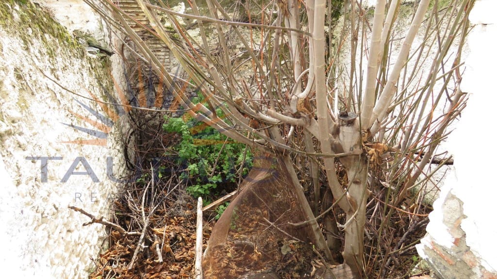 Huis te koop in Sedella - € 20.000 (Ref: 3360274)