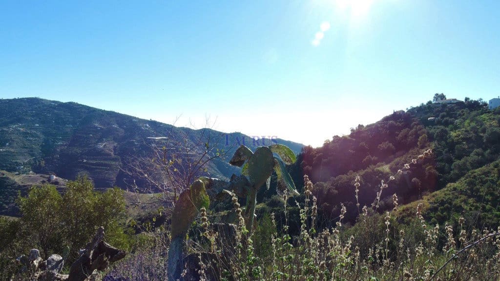 Finca/Country House for sale in Sayalonga - € 70,000 (Ref: 3700860)