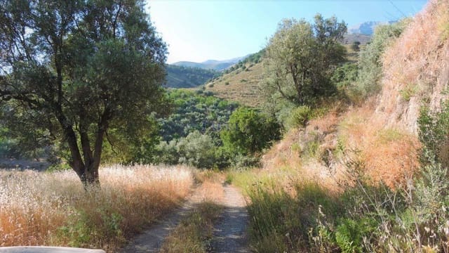 Finca/Casa Rural en Sedella en venta - 160.000 € (Ref: 4126161)