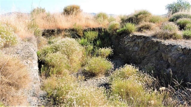 Finca/Casa Rural en Sedella en venta - 160.000 € (Ref: 4126161)