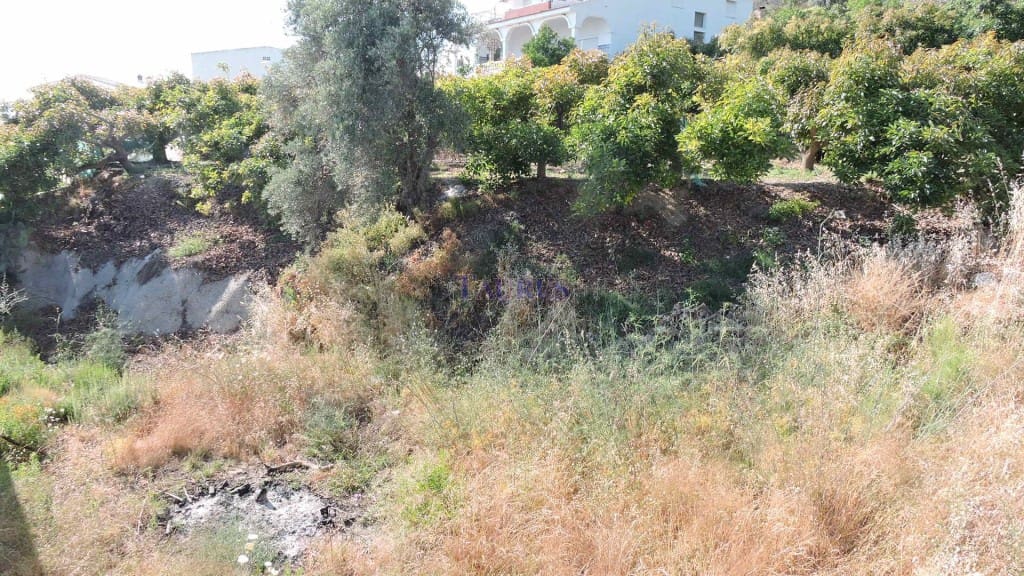 Ubebygd land til salgs i Canillas de Aceituno - € 110 000 (Ref: 4143169)