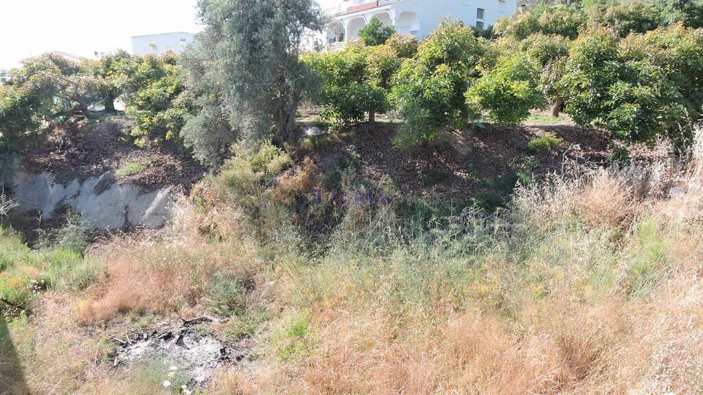 Area Edificabile in vendita in Canillas de Aceituno - 110.000 € (Rif: 4143169)