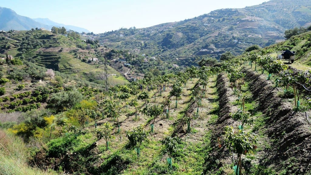 2 soveværelse Finca/Landehus til salg i Competa med swimmingpool garage - € 450.000 (Ref: 4458460)