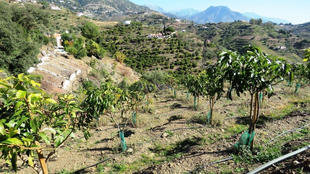 2 soveværelse Finca/Landehus til salg i Competa med swimmingpool garage - € 450.000 (Ref: 4458460)