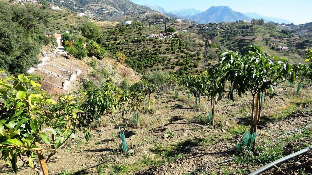 2 Zimmer Finca/Landgut zu verkaufen in Competa mit Pool Garage - 450.000 € (Ref: 4458460)