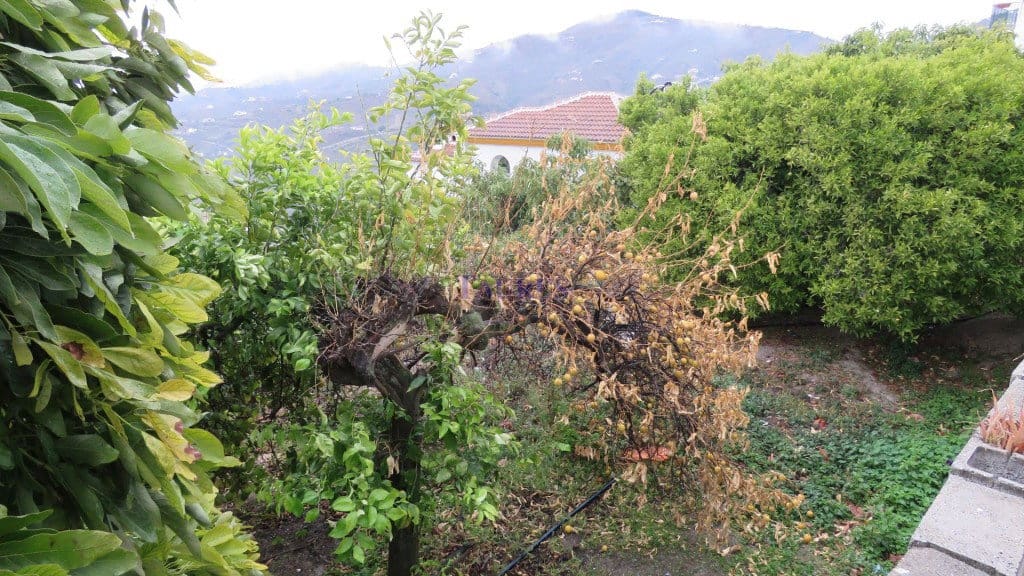 Apartamento de 4 habitaciones en Canillas de Albaida en venta con garaje - 137.000 € (Ref: 4954286)