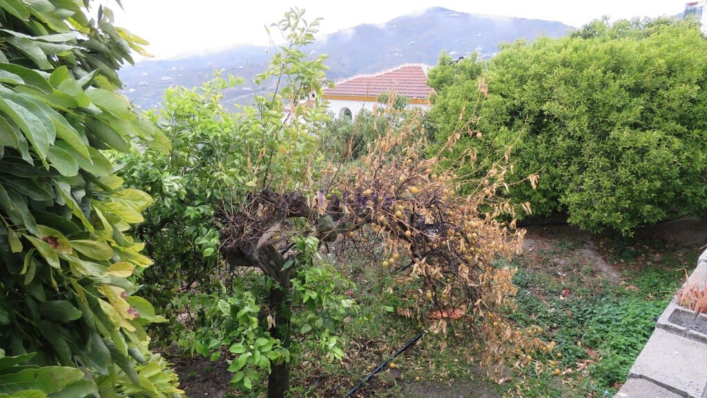 4 slaapkamer Appartement te koop in Canillas de Albaida met garage - € 137.000 (Ref: 4954286)