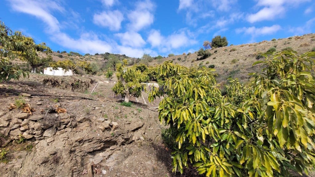 Finca/Casa Rural de 2 habitaciones en Cómpeta en venta - 262.500 € (Ref: 7473504)