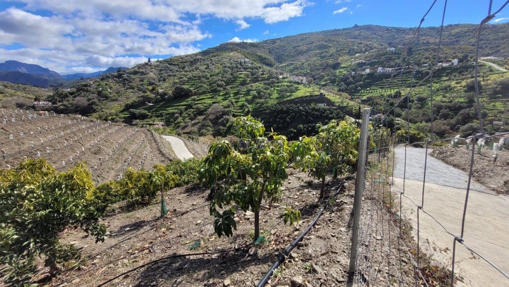 Finca/Casa Rural de 2 habitaciones en Cómpeta en venta - 262.500 € (Ref: 7473504)