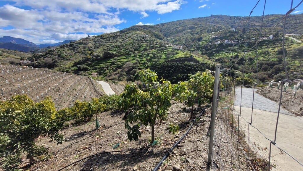 2 camera da letto Finca/Casa di Campagna in vendita in Competa - 262.500 € (Rif: 7473504)