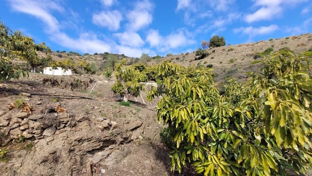 2 bedroom Finca/Country House for sale in Cómpeta - € 262,500 (Ref: 7473504)