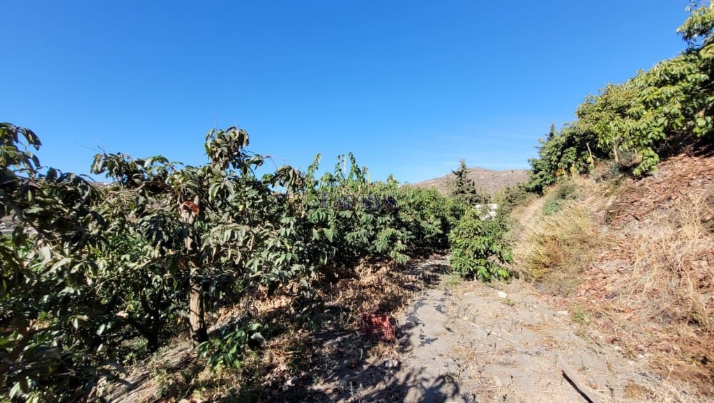 3 soverom Villa til salgs i Torrox med svømmebasseng - € 394 000 (Ref: 7473522)