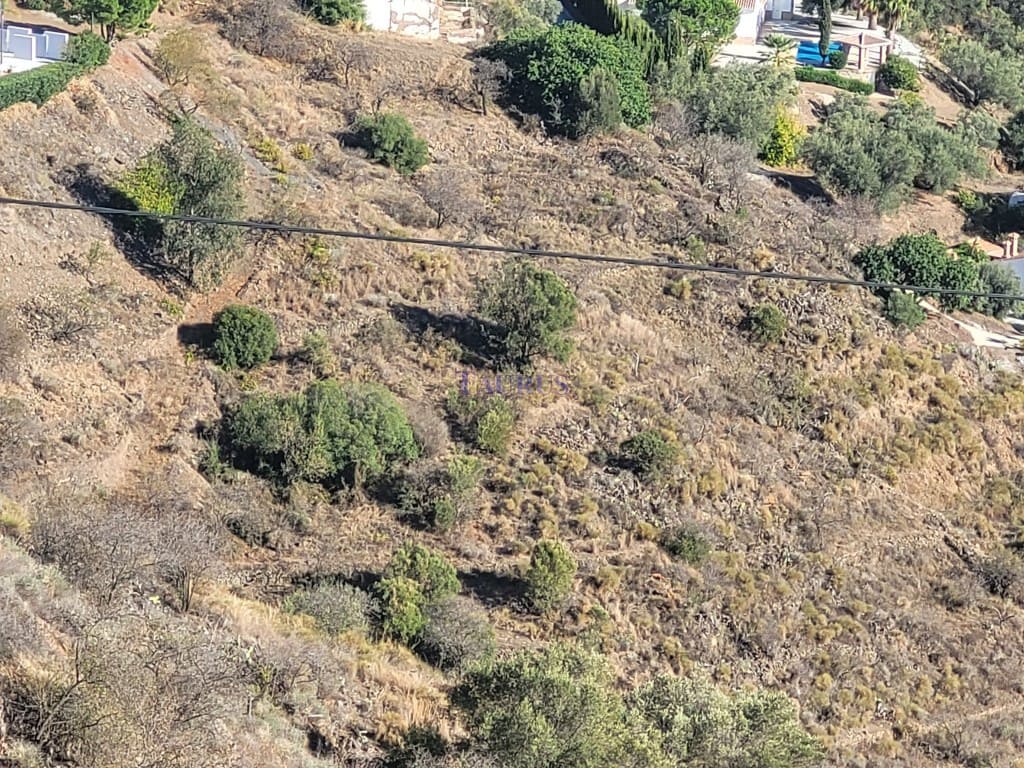 Grunde uden byggetilladelser til salg i Sayalonga - € 41.500 (Ref: 7473597)