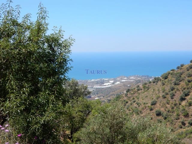 Terreno Não Urbanizado para venda em Sayalonga - 41 500 € (Ref: 7473597)