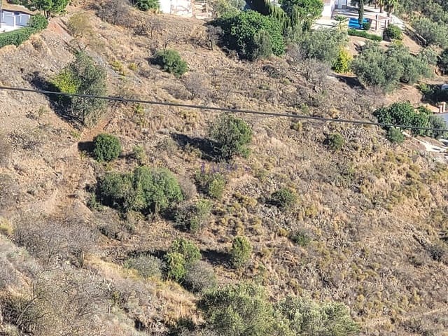 Building Plot for sale in Sayalonga - € 41,500 (Ref: 7473597)