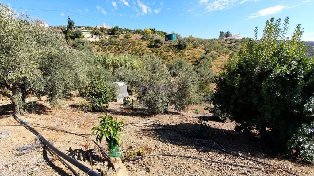 3 soveværelse Villa til salg i Sedella med swimmingpool - € 225.000 (Ref: 7473598)