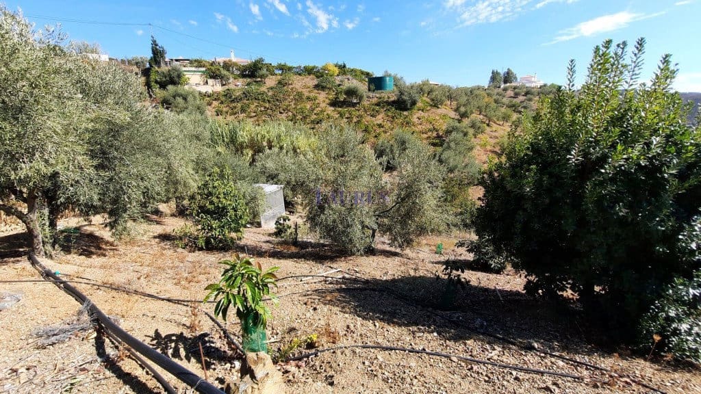 3 soverom Villa til salgs i Sedella med svømmebasseng - € 225 000 (Ref: 7473598)