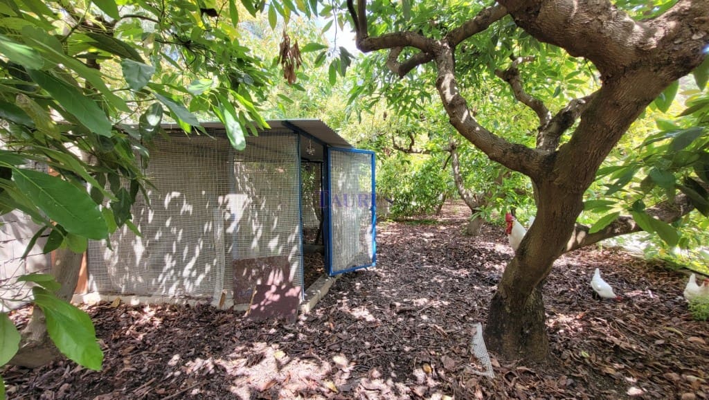 4 soveværelse Villa til salg i Canillas de Albaida med swimmingpool garage - € 390.000 (Ref: 7602640)