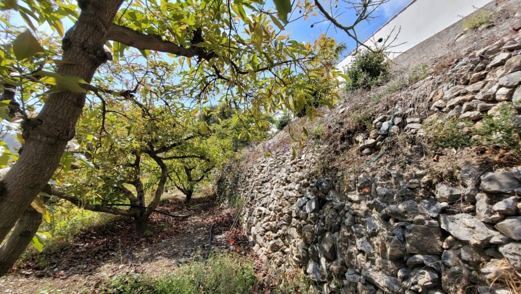 4 soveværelse Villa til salg i Canillas de Albaida med swimmingpool garage - € 390.000 (Ref: 7602640)