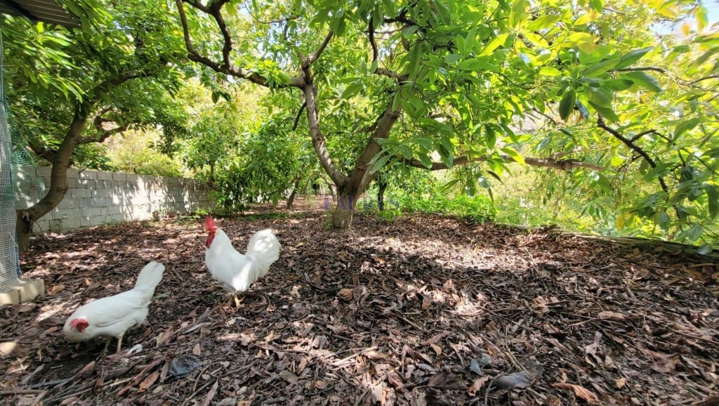 4 soveværelse Villa til salg i Canillas de Albaida med swimmingpool garage - € 390.000 (Ref: 7602640)