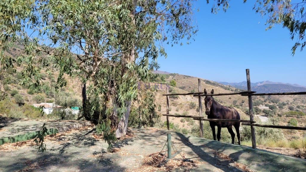 3 soveværelse Villa til salg i Sedella med swimmingpool - € 398.000 (Ref: 7770216)