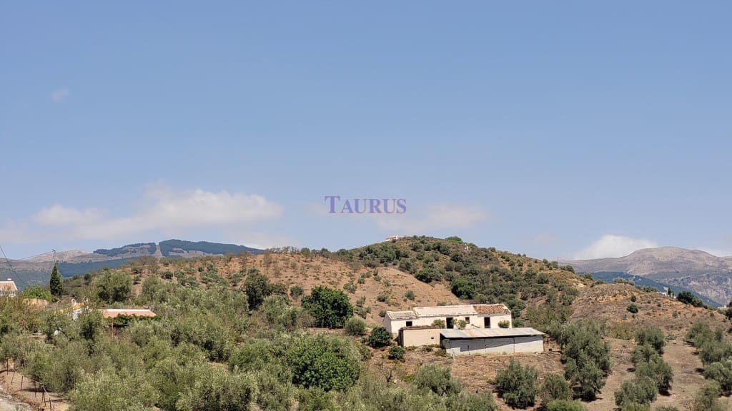 Finca/Landehus til salg i Canillas de Albaida - € 189.000 (Ref: 7937087)