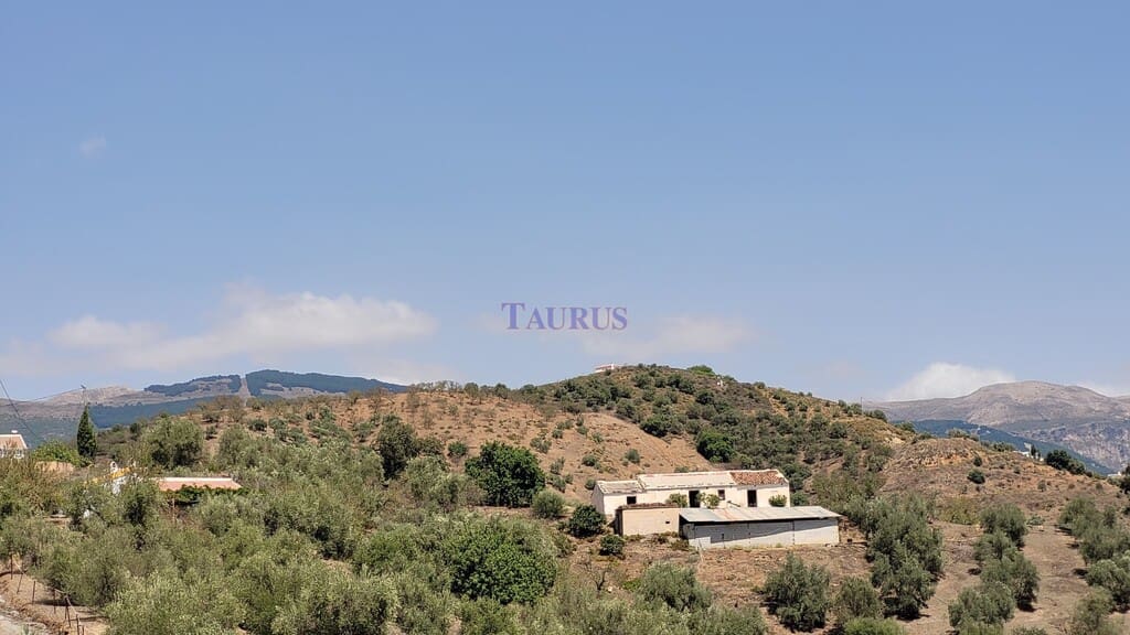 Finca/Maison de Campagne à vendre à Canillas de Albaida - 189 000 € (Ref: 7937087)