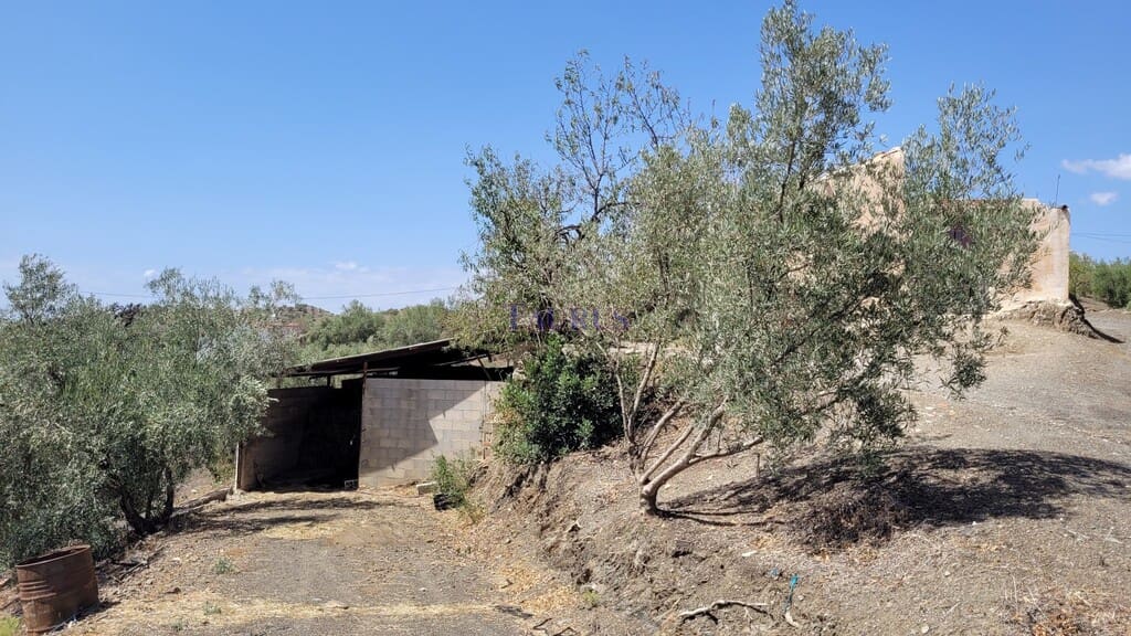 Finca/Maison de Campagne à vendre à Canillas de Albaida - 189 000 € (Ref: 7937087)