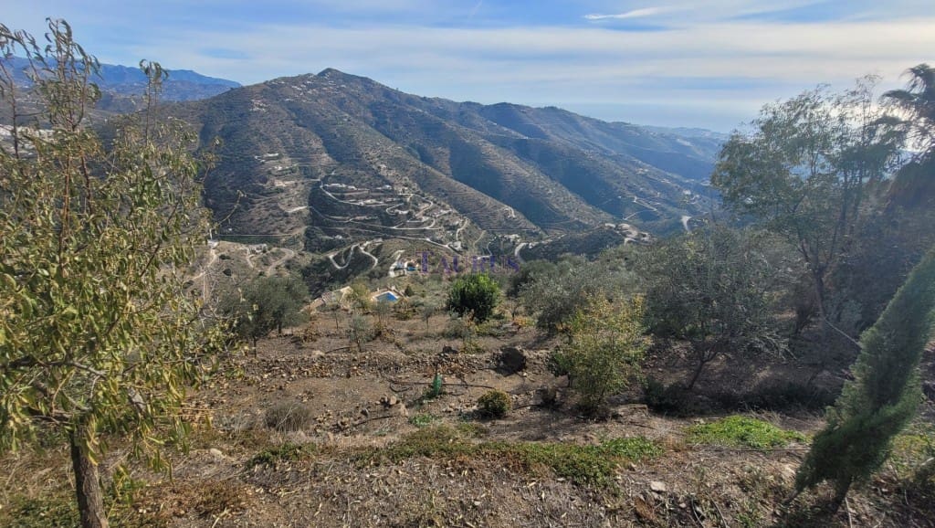 4 soveværelse Villa til salg i Arenas de Velez med swimmingpool - € 398.000 (Ref: 7969244)