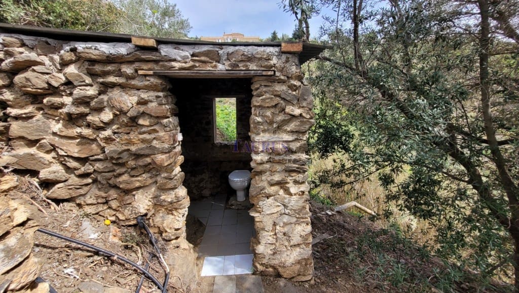 3 slaapkamer Villa te koop in Sayalonga met zwembad - € 299.000 (Ref: 8205826)