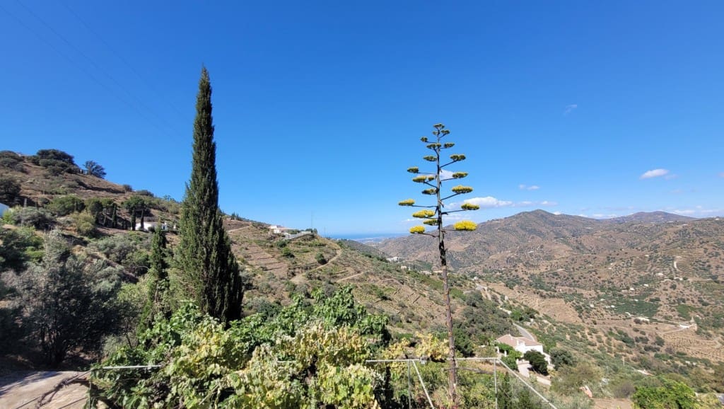 2 soveværelse Villa til salg i Sayalonga med swimmingpool garage - € 245.000 (Ref: 8390234)