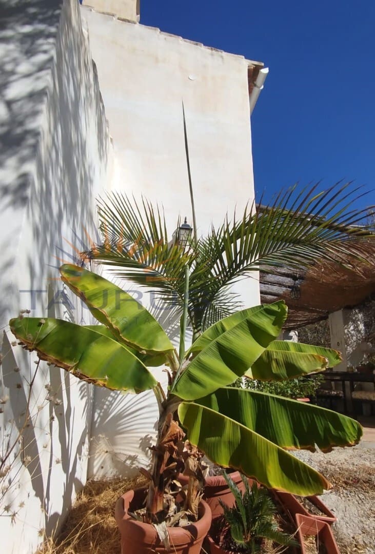 1 soverom Villa til salgs i Sayalonga med svømmebasseng - € 235 000 (Ref: 8476104)