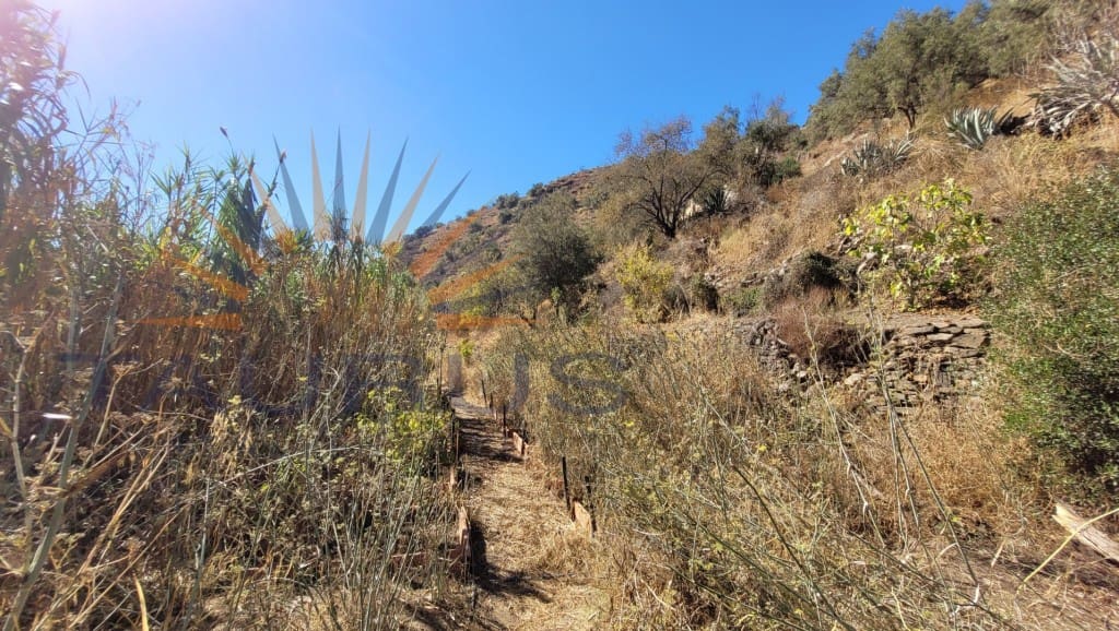 1 soverom Villa til salgs i Sayalonga med svømmebasseng - € 235 000 (Ref: 8476104)