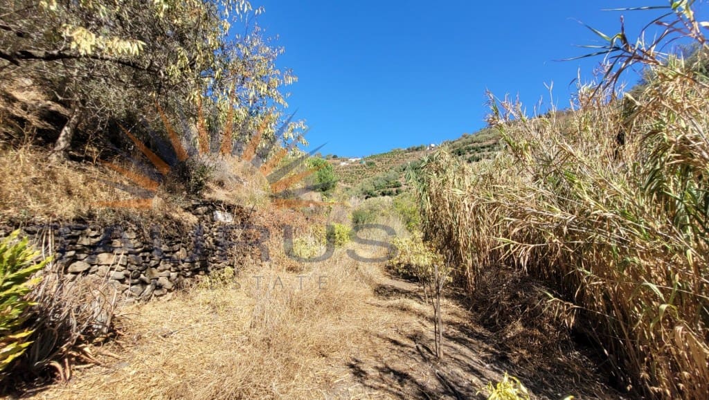 1 soverom Villa til salgs i Sayalonga med svømmebasseng - € 235 000 (Ref: 8476104)